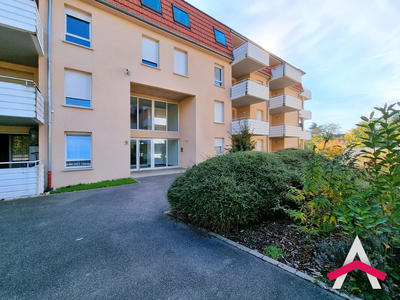 Appartement - 50 m² - 2 pièces