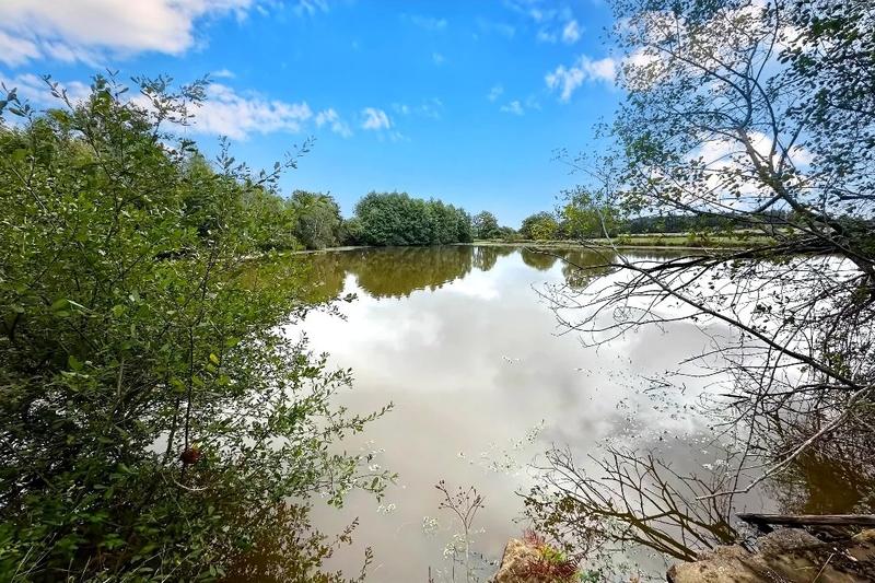 Propriété - 1 pièce