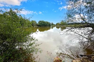 Propriété - 1 pièce