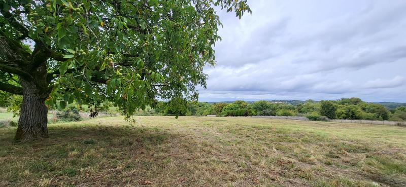 Terrain de loisirs - 7 850 m²