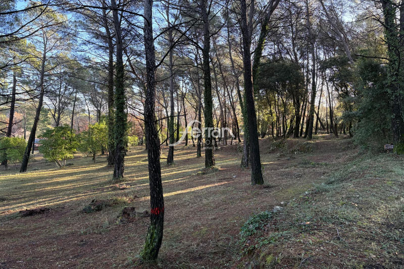 Terrain - 7 100 m²