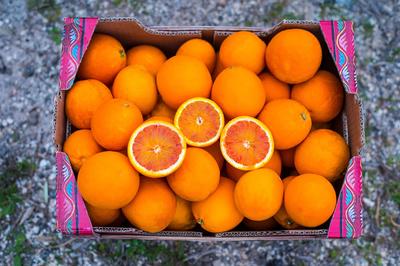 Coopérative Agricole Sopavar