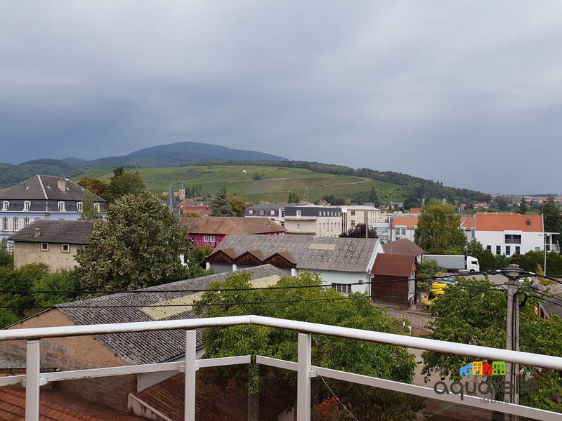 Appartement - 55 m² - 2 pièces