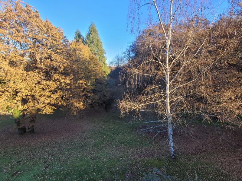 Châlet - 150 m² - 7 pièces