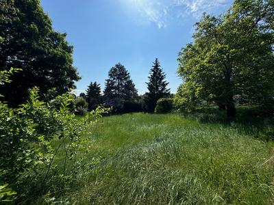 Terrain - 656 m²