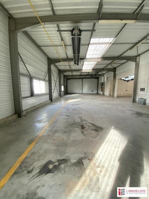 Local d'activité / Entrepôt - 1 646 m²