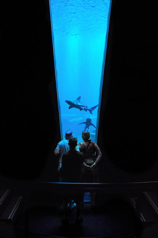 Nausicaa le Centre National de la Mer