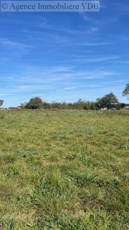 Terrain constructible - 1 919 m²