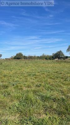 Terrain constructible - 1 919 m²