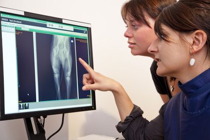 Clinique vétérinaire du Cèdre