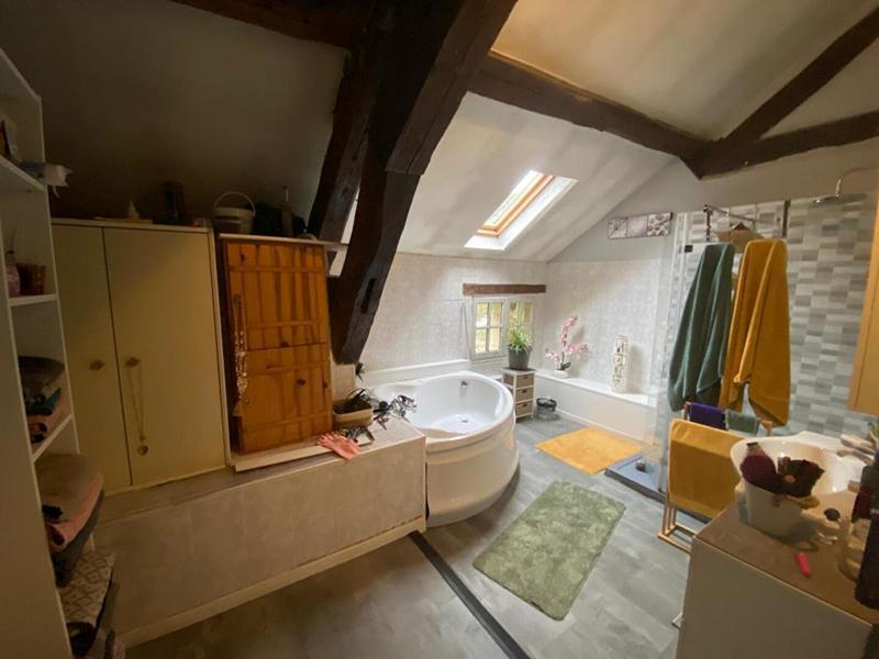 Moulin - 655 m² - 6 pièces