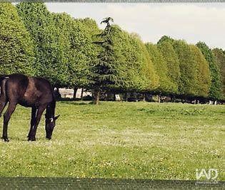 Local commercial - 8 310 m²