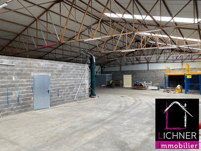 Local d'activités - 800 m²