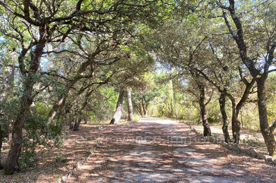 Villa - 190 m² - 5 pièces