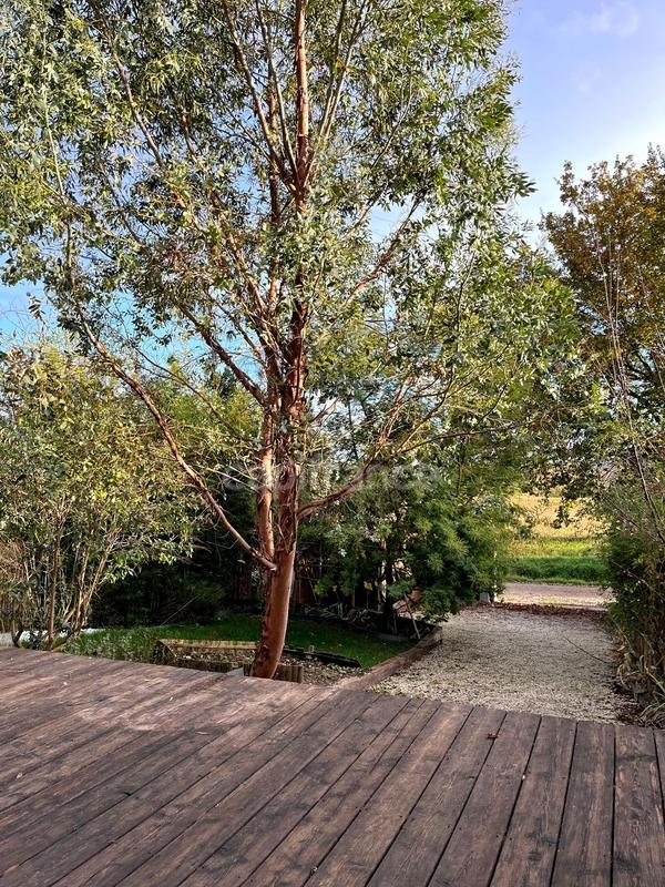 Maison de village - 148 m² - 6 pièces