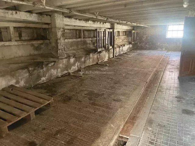 Maison - 125 m² - 4 pièces