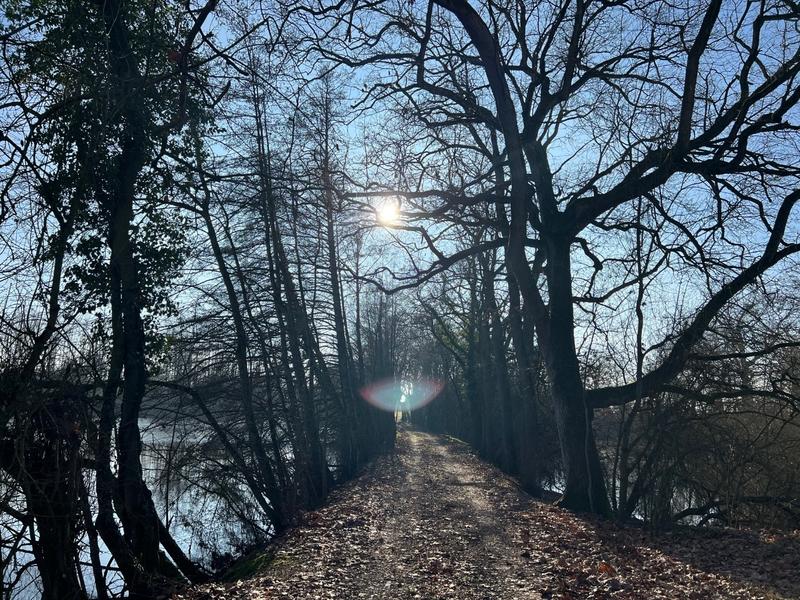 Manoir - 1 000 m² - 14 pièces