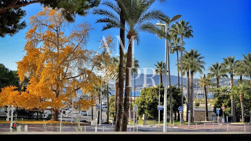 Appartement - 34 m² - 1 pièce