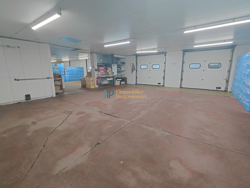 Local d'activités - 1 800 m²