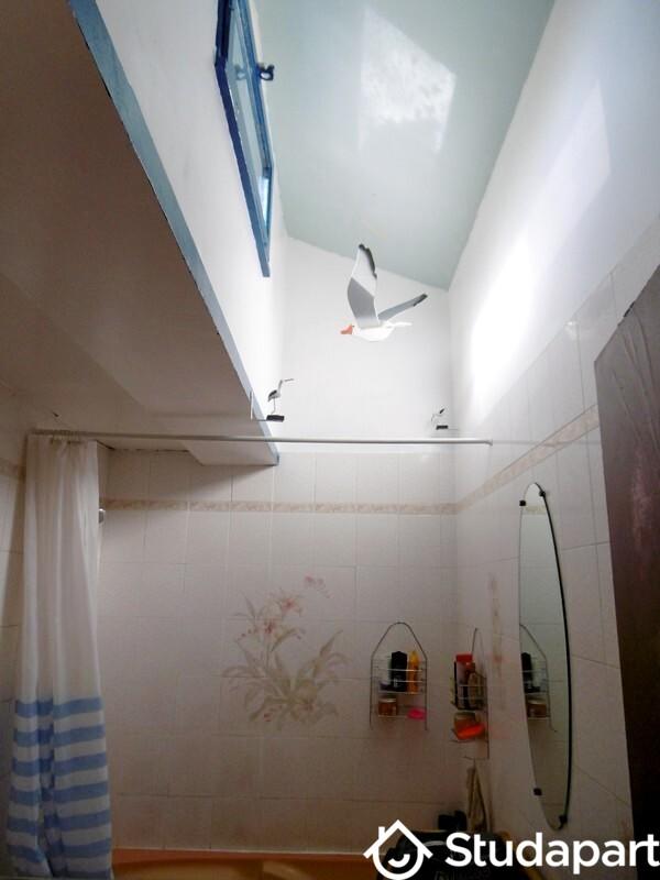 Chambre - 10 m² - 1 pièce