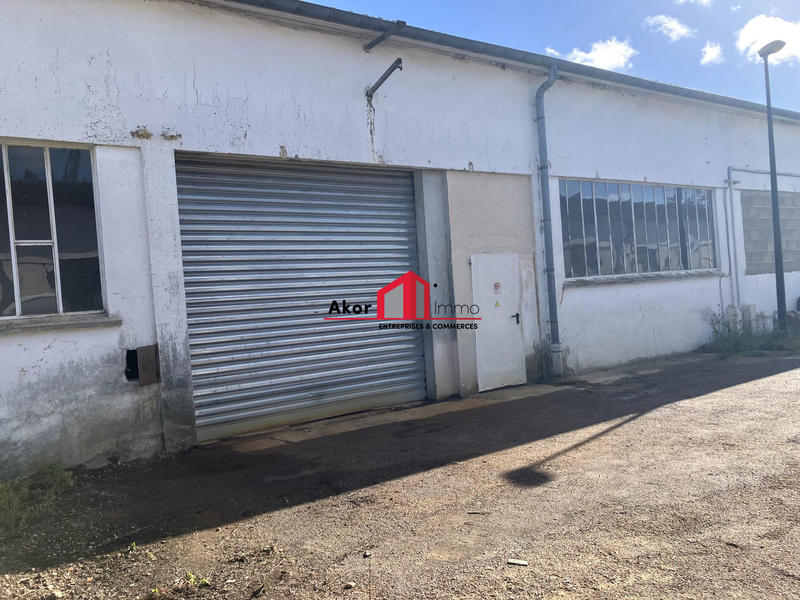Local d'activités - 177 m² - 3 pièces