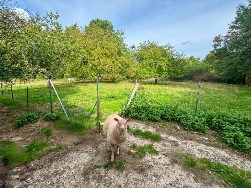 Maison - 184 m² - 5 pièces