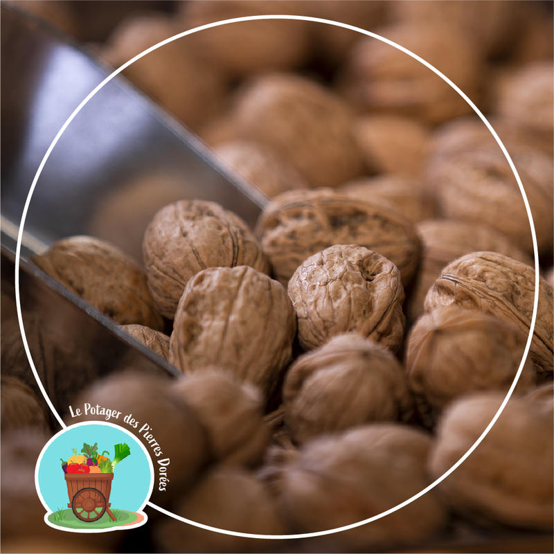 Potager des Pierres Dorées