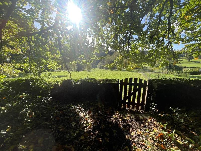 Maison - 400 m² - 50 pièces