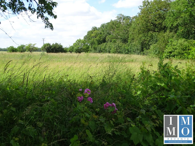 Maison ancienne - 48 m² - 2 pièces