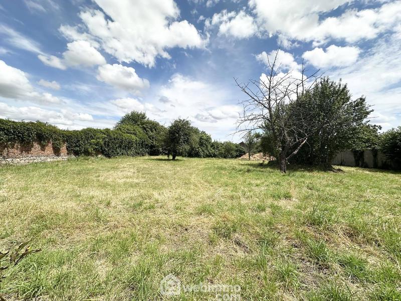 Terrain - 1 298 m²