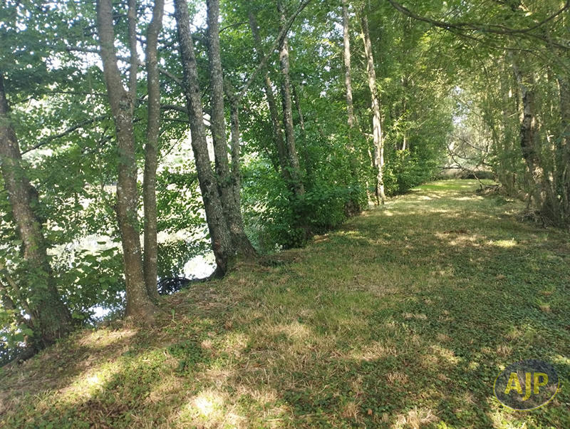 Terrain - 11 165 m²