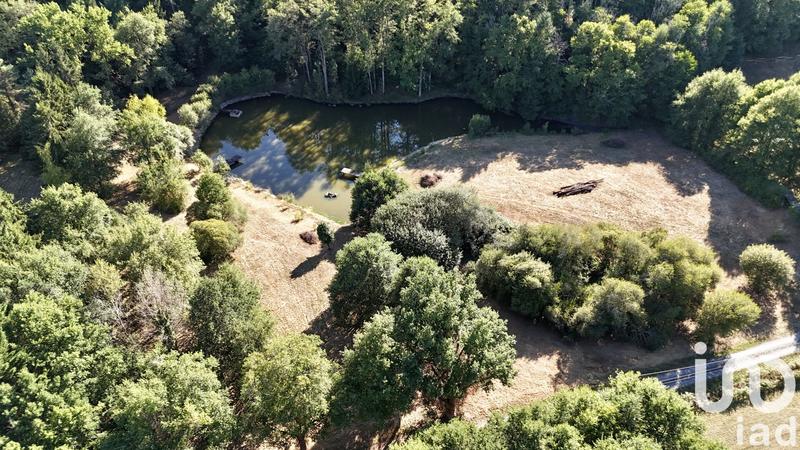 Terrain - 11 902 m²