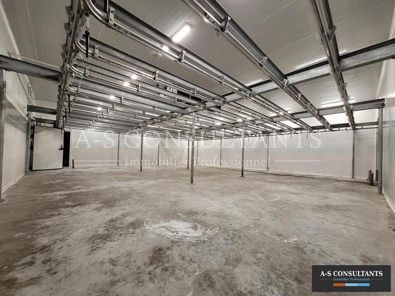 Local d'activité / Entrepôt - 1 000 m²