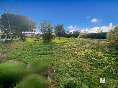 Terrain constructible - 973 m²