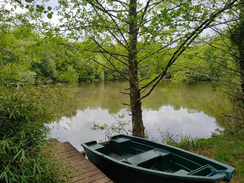 Terrain - 14 125 m²