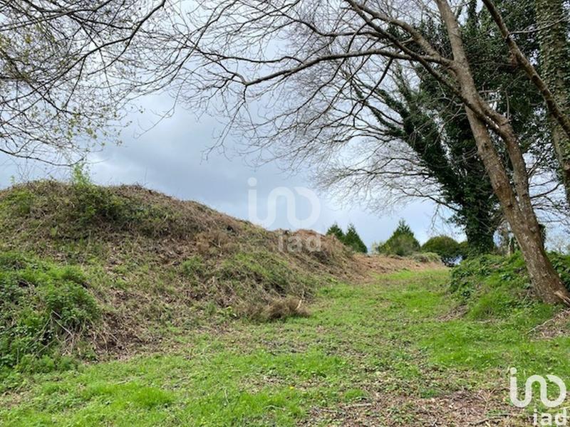 Local commercial - 3 901 m²