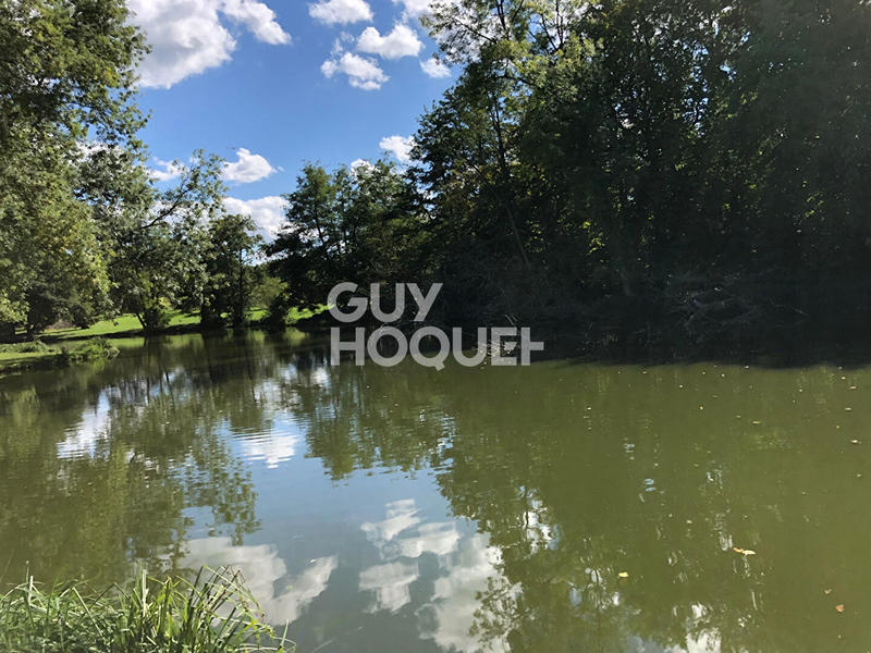 Maison - 900 m² - 3 pièces