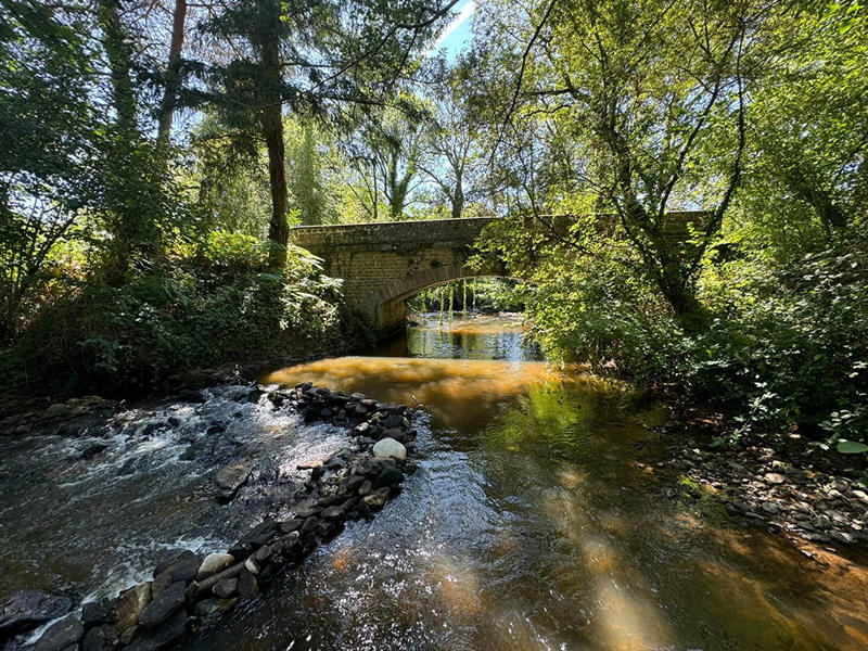 Maison - 300 m² - 7 pièces