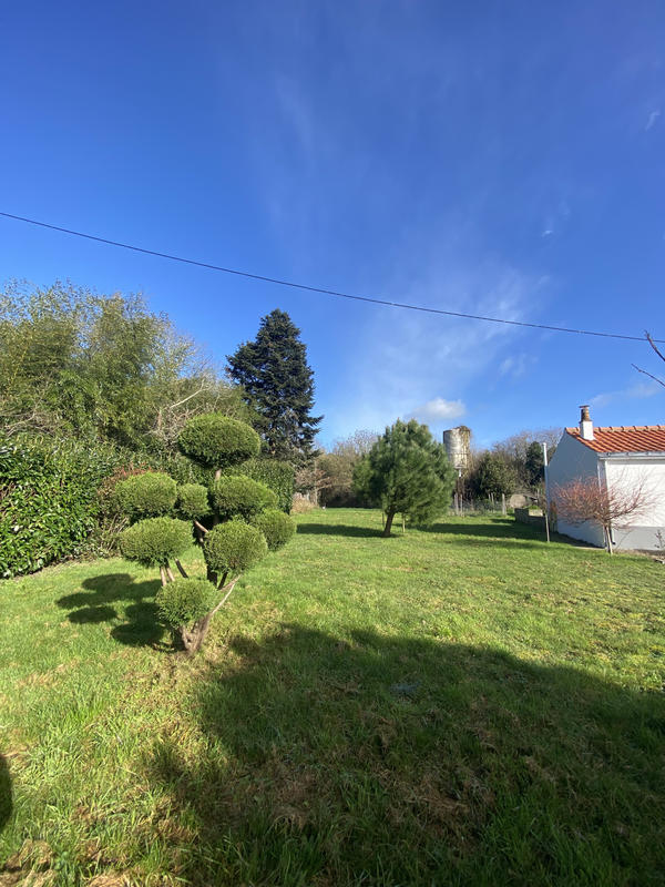 Viager - Maison - 168 m² - 5 pièces