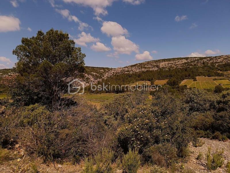 Terrain agricole - 12 490 m²