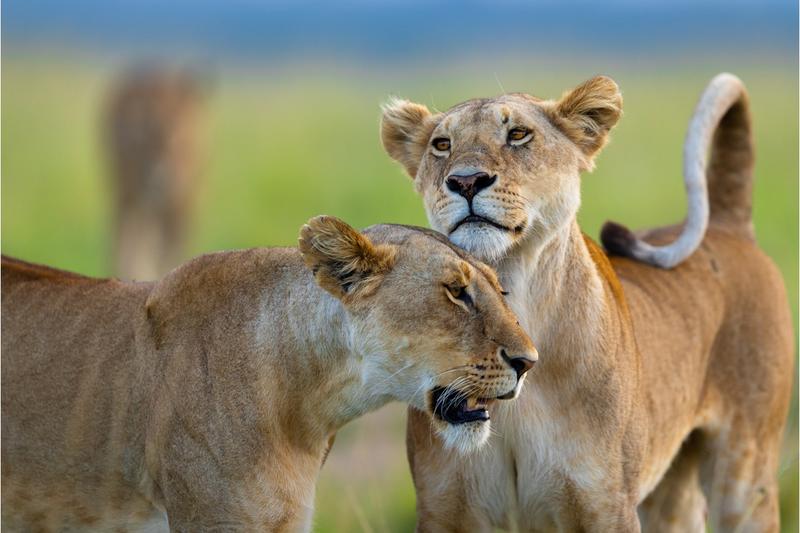 Rencontre et dédicace avec le photographe Alexandre Bès