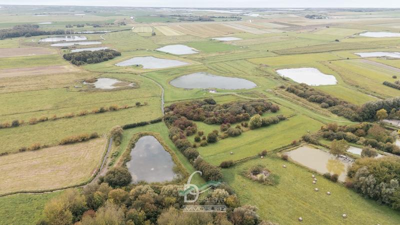 Maison contemporaine - 120 m² - 5 pièces