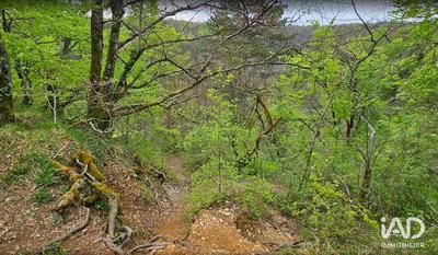 Terrain - 1 167 907 m²