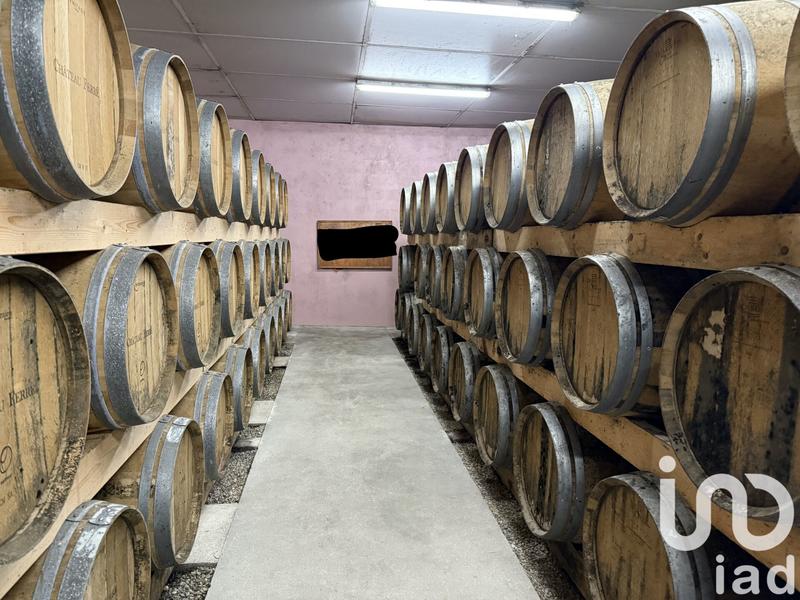 Château - 459 m² - 10 pièces