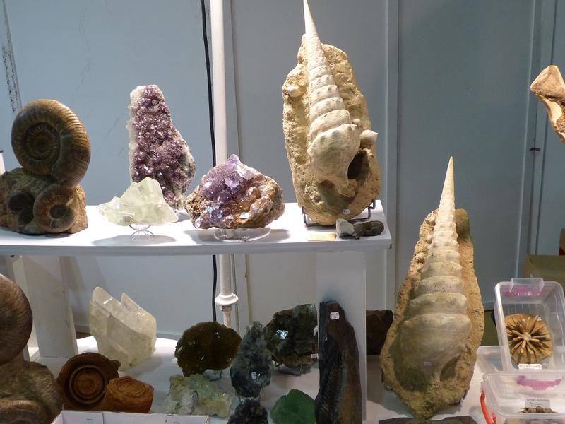 42ème Bourse aux Minéraux, Fossiles et pierres taillées