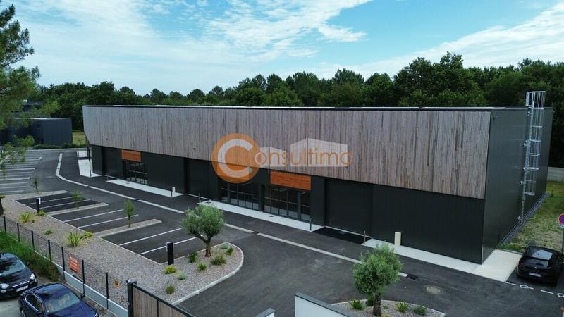 Local d'activité / Entrepôt - 1 662 m²
