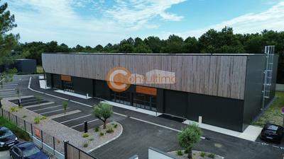 Local d'activité / Entrepôt - 1 662 m²