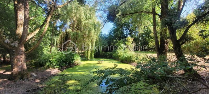 Maison en pierre - 175 m² - 7 pièces