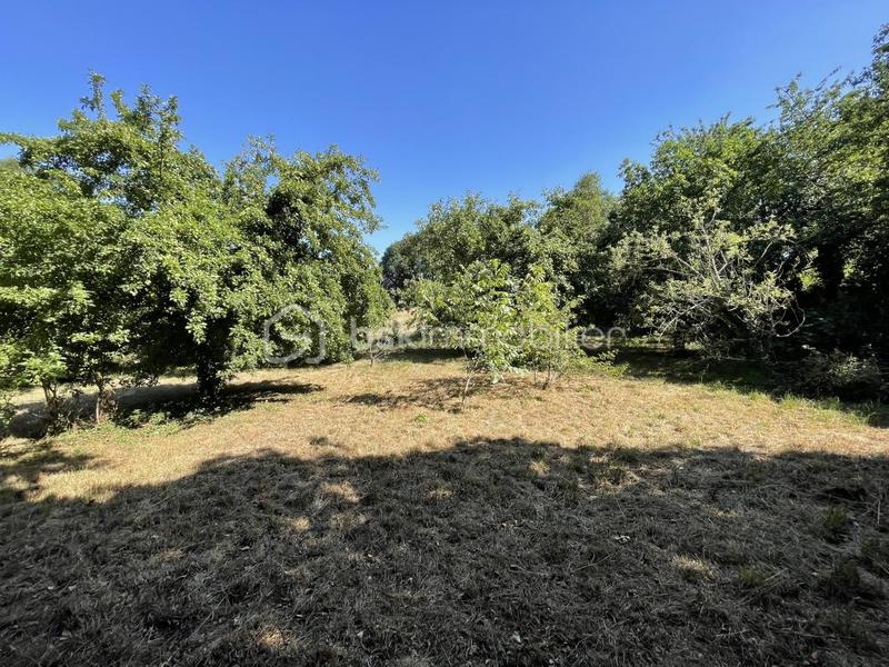 Maison en pierre - 107 m² - 5 pièces