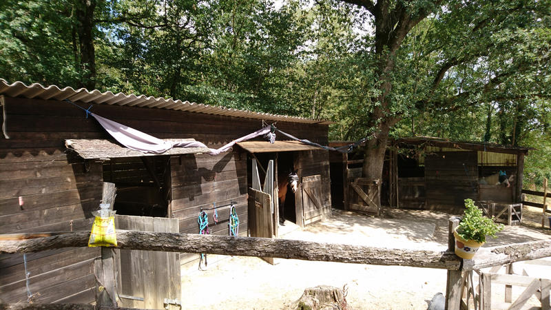 Maison - 205 m² - 7 pièces